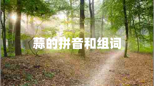 蒜的拼音和組詞