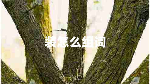 裝怎么組詞 裝怎么組詞