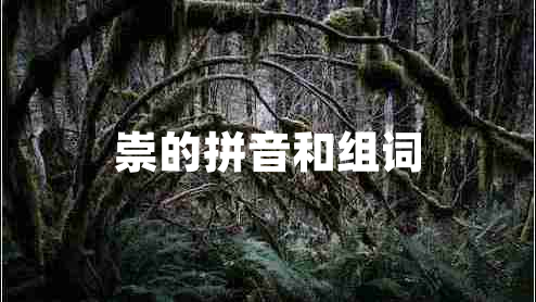 崇的拼音和組詞