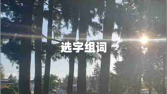 選字組詞
