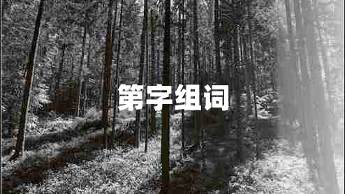 第字組詞 第字組詞
