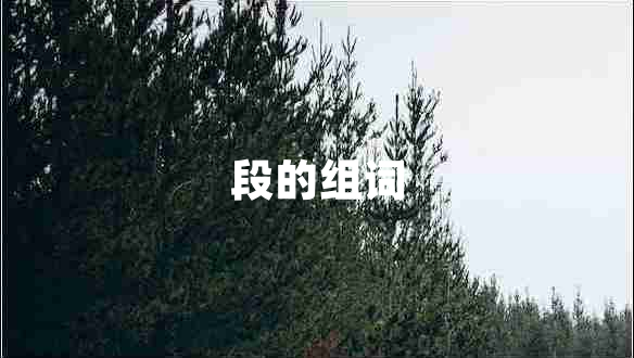 段的組詞