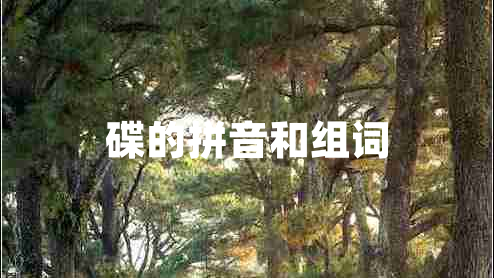 碟的拼音和組詞