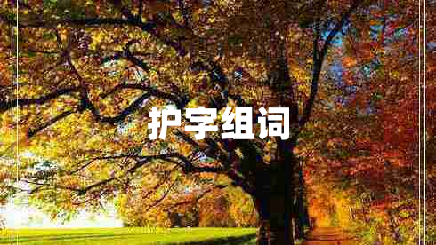 護字組詞 護字組詞