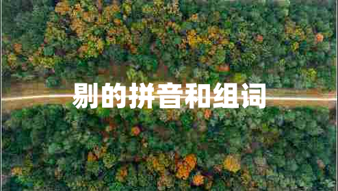 剔的拼音和組詞