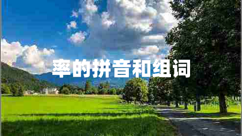 率的拼音和組詞