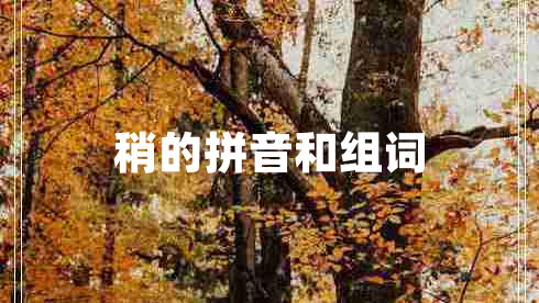 稍的拼音和組詞 稍的拼音和組詞