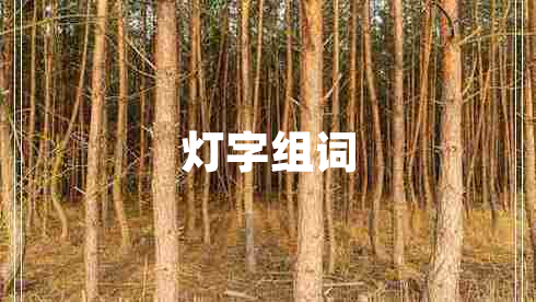 燈字組詞 燈字組詞
