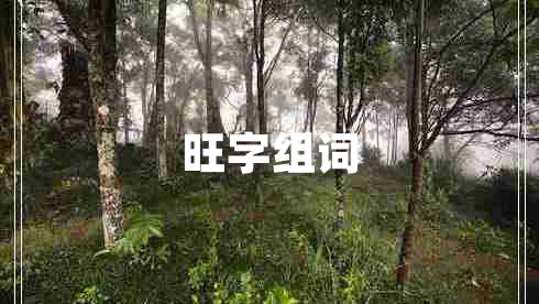 旺字組詞