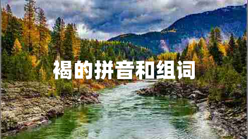 褐的拼音和組詞