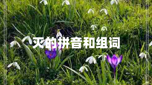 滅的拼音和組詞 滅的拼音和組詞