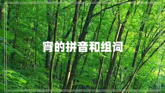 宵的拼音和組詞