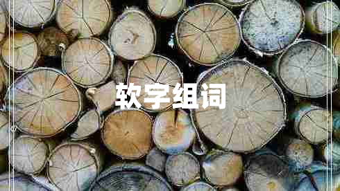 軟字組詞
