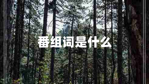 番組詞是什么