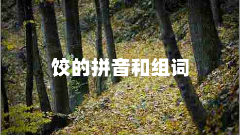 餃的拼音和組詞