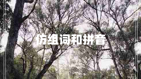 仿組詞和拼音