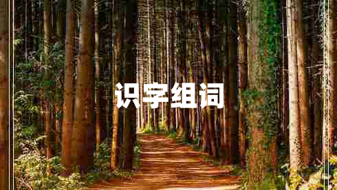 識(shí)字組詞 識(shí)字組詞