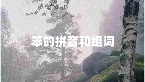 笨的拼音和組詞