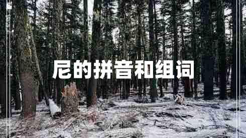 尼的拼音和組詞