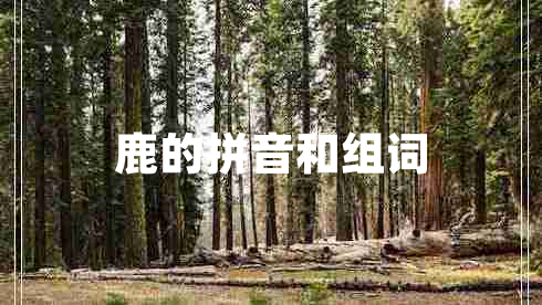 鹿的拼音和組詞