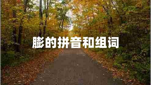 膨的拼音和組詞