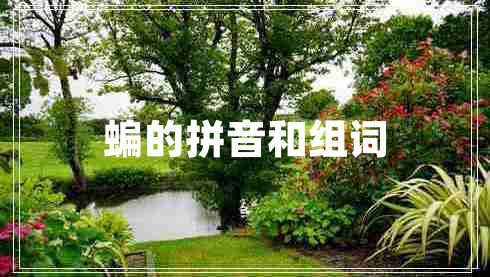 蝙的拼音和組詞