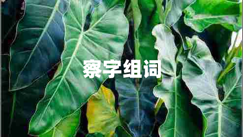 察字組詞 察字組詞