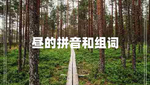 晝的拼音和組詞