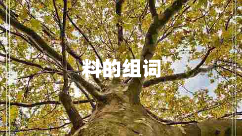料的組詞 料的組詞
