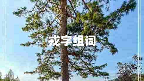 戎字組詞 戎字組詞