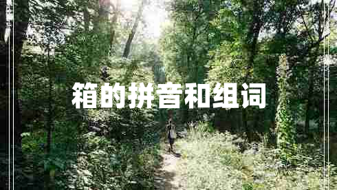 箱的拼音和組詞