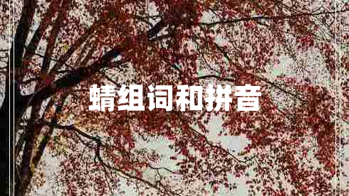 蜻組詞和拼音