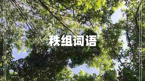 秩組詞語(yǔ)