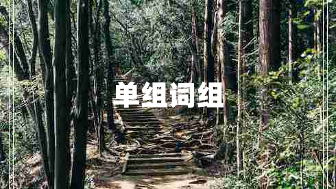 單組詞組 單組詞組
