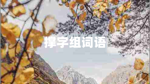 撐字組詞語(yǔ)