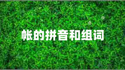 帳的拼音和組詞