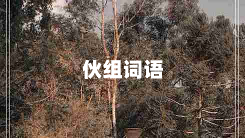 伙組詞語(yǔ)