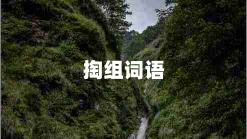 掏組詞語