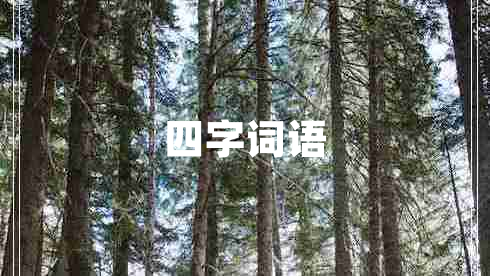 四字詞語 四字詞語