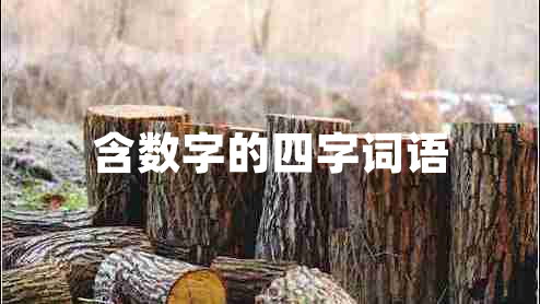 含數(shù)字的四字詞語