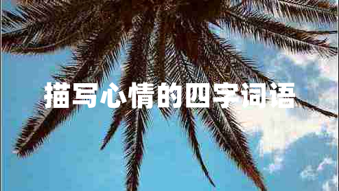 描寫(xiě)心情的四字詞語(yǔ)