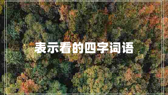 表示看的四字詞語(yǔ) 表示看的四字詞語(yǔ)