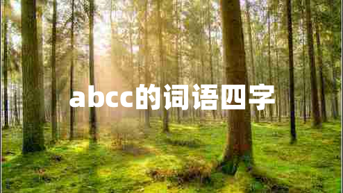 abcc的詞語四字