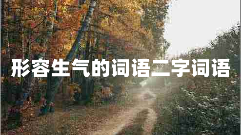 形容生氣的詞語二字詞語