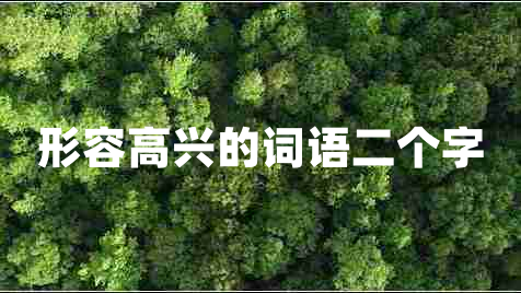形容高興的詞語二個字