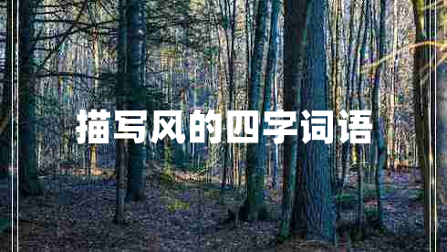 描寫風(fēng)的四字詞語(yǔ)