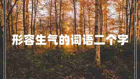 形容生氣的詞語二個(gè)字
