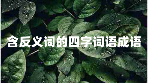 含反義詞的四字詞語(yǔ)成語(yǔ)