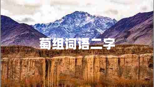 萄組詞語二字