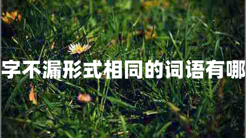 一字不漏形式相同的詞語(yǔ)有哪些